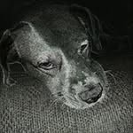 Bill Cofield - @cofieldbill - Instagram