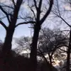 Billy colston - @billycolston6 - TikTok