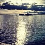 Bill Colton - @coltonbill - Instagram