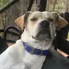 Billy Colvin - @billycolvin1 - TikTok