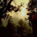 Billy Combs - @mtm4life11 - Instagram