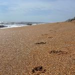 Billy Combs - @billyinflorida - Instagram