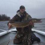 Billy Comer - @comer_bakoutfishin - Instagram
