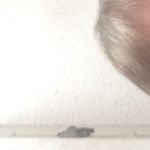Billy Comer - @billycomer - Instagram