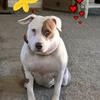 Billy Comptonnova - @billy.comptonnova - TikTok