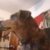 billycompton867 - @billycompton867 - TikTok