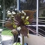 Billy Sharon Conger - @billysharonconger - Instagram