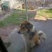 Billy Conley - Facebook