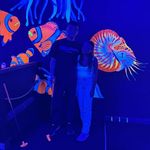 Billy Connelly - @billy_connelly72 - Instagram