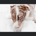 Billy Connor - Facebook