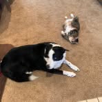Billie Conover - Facebook