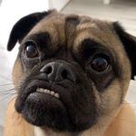 Billy Cooke - @billycooke247 - Instagram