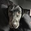 Billy Cooke - @billy.cooke - TikTok