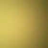 Billy Corbin - @billy.corbin1 - TikTok