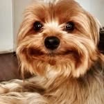 Billy Corbin - @billy.corbin.712 - Instagram