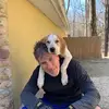 Billy Corcoran672 - @billycorcoran672 - TikTok