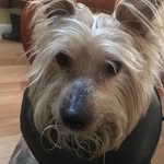 Billy Corcoran - @corcoran.billy - Instagram