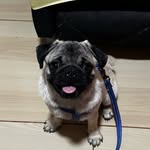 @billy.junior_cordeiro_02 - Instagram
