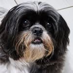 BILLY - @billy_cordeiro_ - Instagram
