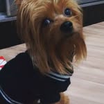 Billy - @billy_cordeiroo - Instagram