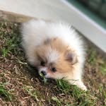 Billy - @billycordeiro.05 - Instagram