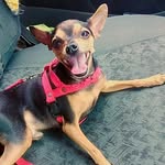 Billy cordeiro - @billy_cord_alb - Instagram