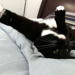 Bill Correll Jr - @smudge_cami - Instagram