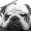 billy_craig - @billy_craig - TikTok
