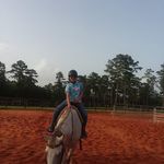 Billy Cribb - @cribb.billy - Instagram