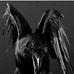 Billy Crow - Facebook