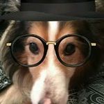 Billy Cummings - @billy_cummings9826 - Instagram
