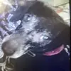 Billy Curtis - @billy.curtis346 - TikTok