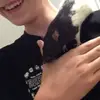 Billy Curtis  - @billy_curtis_ - TikTok