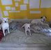 Billy Dawson - Facebook