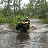billydoherty495 - @billydoherty495 - TikTok