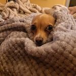 Bill Doolittle - @bill.doolittle - Instagram