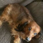 Billy doolittle - @the.meth.lab420 - Instagram
