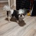 Billy Doyle - Facebook