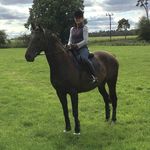 Billy Doyle - @billydoyle5 - Instagram