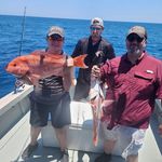 Billy DuPuis - @billydupuis - Instagram