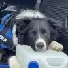 Bill Durbin - @bill.durbin1 - TikTok