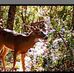 Billy Durbin - Facebook