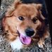 Billy Dutton - Facebook