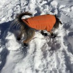 Billy DuVall - @nanceeboy - Instagram