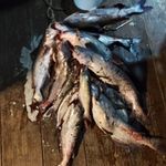 Billy Dyson - @dyson6286 - Instagram