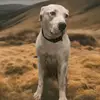 billyeades47 - @billyeades47 - TikTok