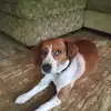 Billy - @billyearhart56 - TikTok