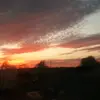 billyearhart667 - @billyearhart667 - TikTok