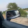 billy_beasley15 - @billy_beasley15 - TikTok