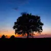 Billy Eaves - @billyeaves - TikTok